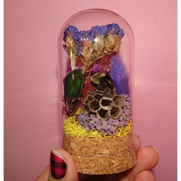 June Bug Carpenter Bee & Wasp Nest Oddity Jar taxidermy curiosity goth witchy - Picture 5 of 12